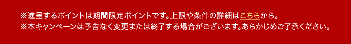 ※進呈するポイントは期間限定ポイントです。上限や条件の詳細はこちらから。　※本キャンペーンは予告なく変更または終了する場合がございます。あらかじめご了承ください。